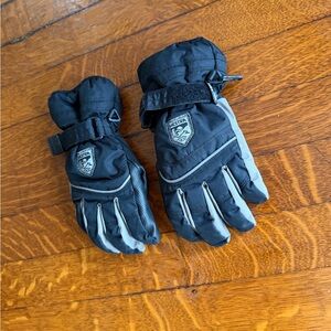 Hestra Black Gloves